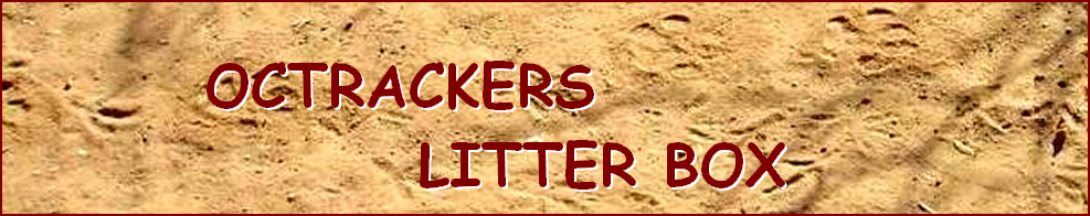 OCTRACKERS  LITTER BOX - ANALYZING THE SCAT