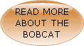 Read more about the bobcat here