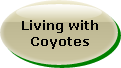 Living with Coyotes in Orange County