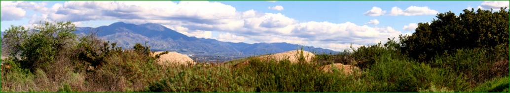 Quail Hill Panorama