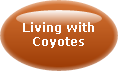 LIVING WITH COYOTES IN ORANGE COUNTY