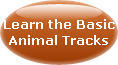 LEARN THE BASIC ANIMAL TRACKS